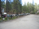 PICTURES/Lynx Lake Trail/t_Mailbox Row.JPG